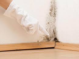 Reliable Ballston Spa, NY Mold Removal Solutions